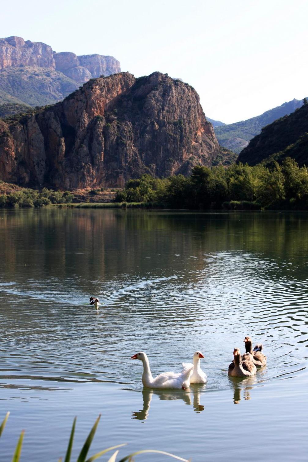 La Noguera Camping Sant Llorenç de Montgai Eksteriør bilde